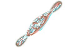 2014 04 24 Grand Julian 57-white.jpg